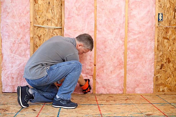 Best Insulation Repair Services  in Remlap, AL